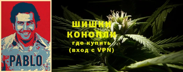 PSILOCYBIN Армянск